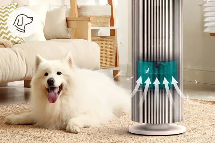 Air quality enhanced for pet-friendly living