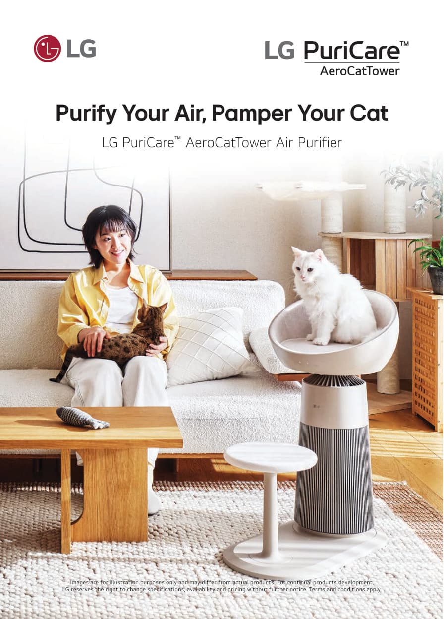 03 AeroCat