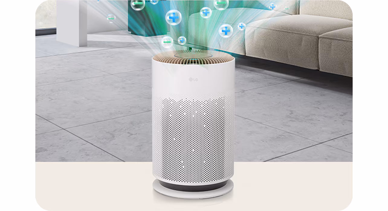 Leaves Your Space Clean from Bacteria