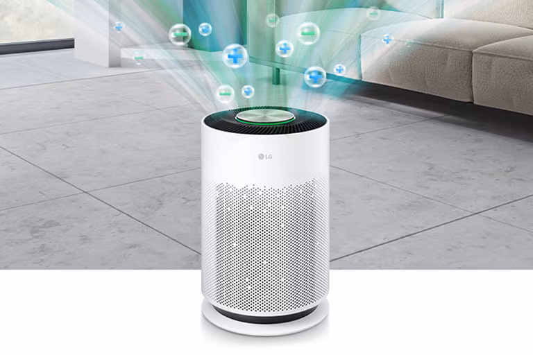 Leaves Your Space Clean from Bacteria