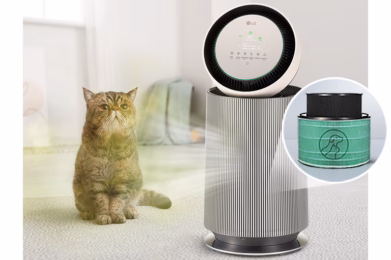 Minimize pet odor. Maximize fresh air