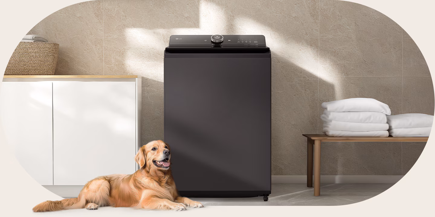 Effective washing for pet-loving homes