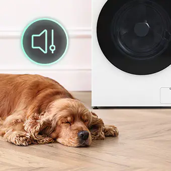 Pet care Wash and rinse away pet odors and stains.