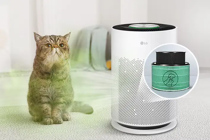 file_1771510451 file_1771510451